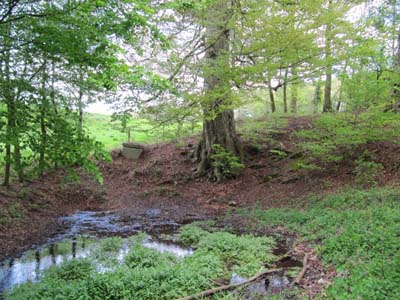 Source du Telhuet - © armées.com